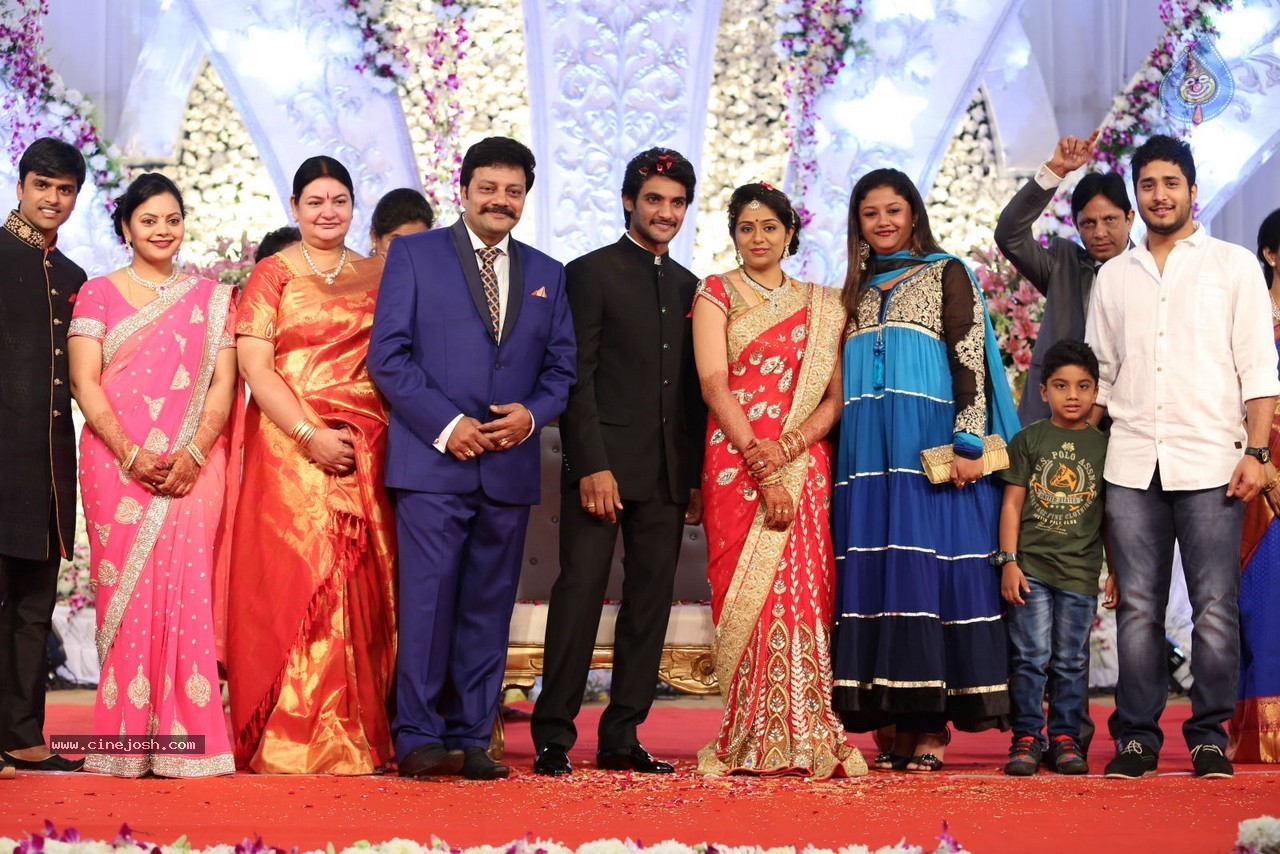 Aadi and Aruna Wedding Reception 03 - 121 / 235 photos