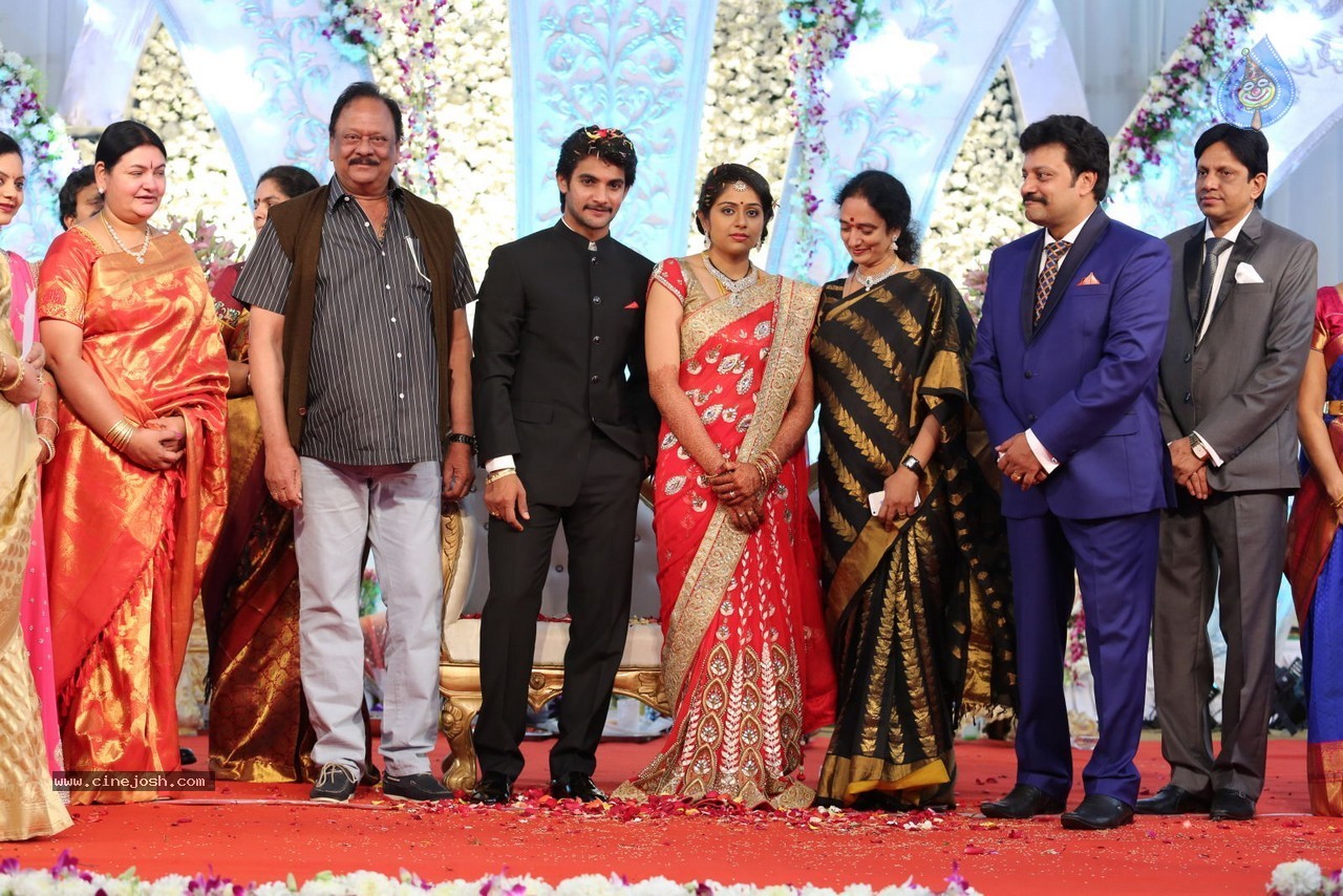 Aadi and Aruna Wedding Reception 03 - 123 / 235 photos