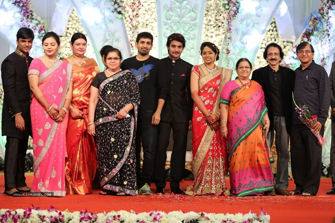 Aadi and Aruna Wedding Reception 03 - 126 / 235 photos