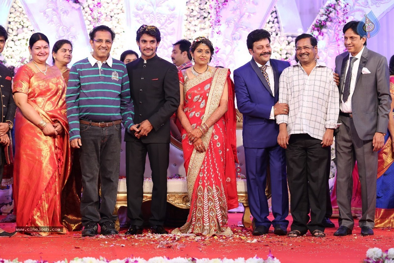 Aadi and Aruna Wedding Reception 03 - 127 / 235 photos