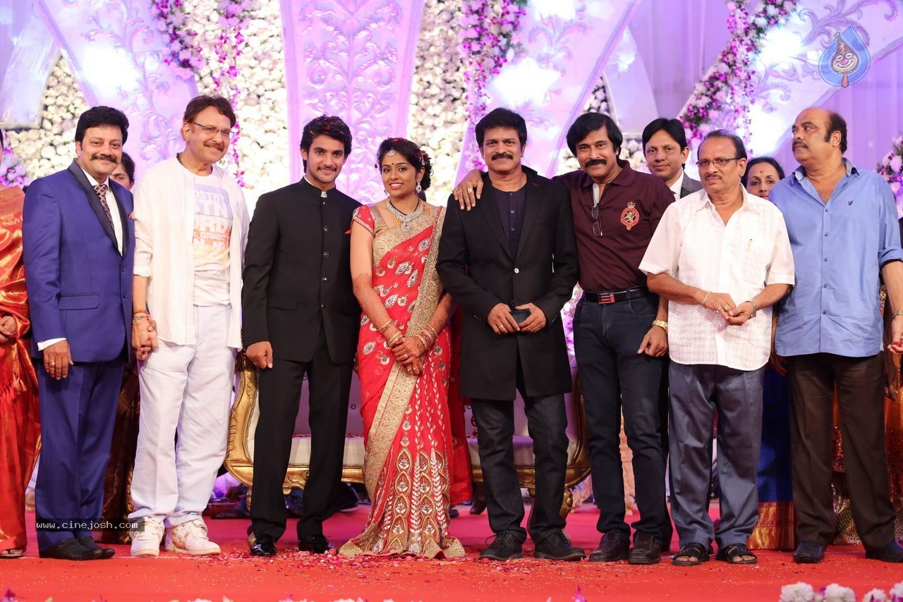 Aadi and Aruna Wedding Reception 03 - 129 / 235 photos