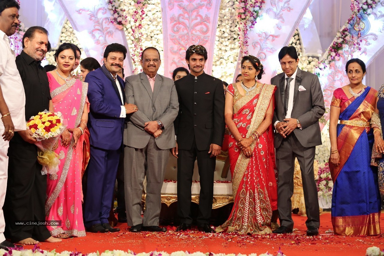 Aadi and Aruna Wedding Reception 03 - 131 / 235 photos