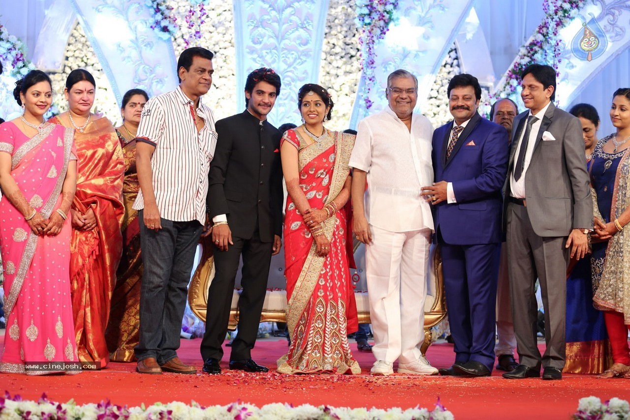 Aadi and Aruna Wedding Reception 03 - 132 / 235 photos