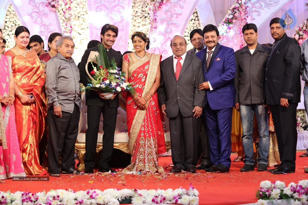 Aadi and Aruna Wedding Reception 03 - 134 / 235 photos