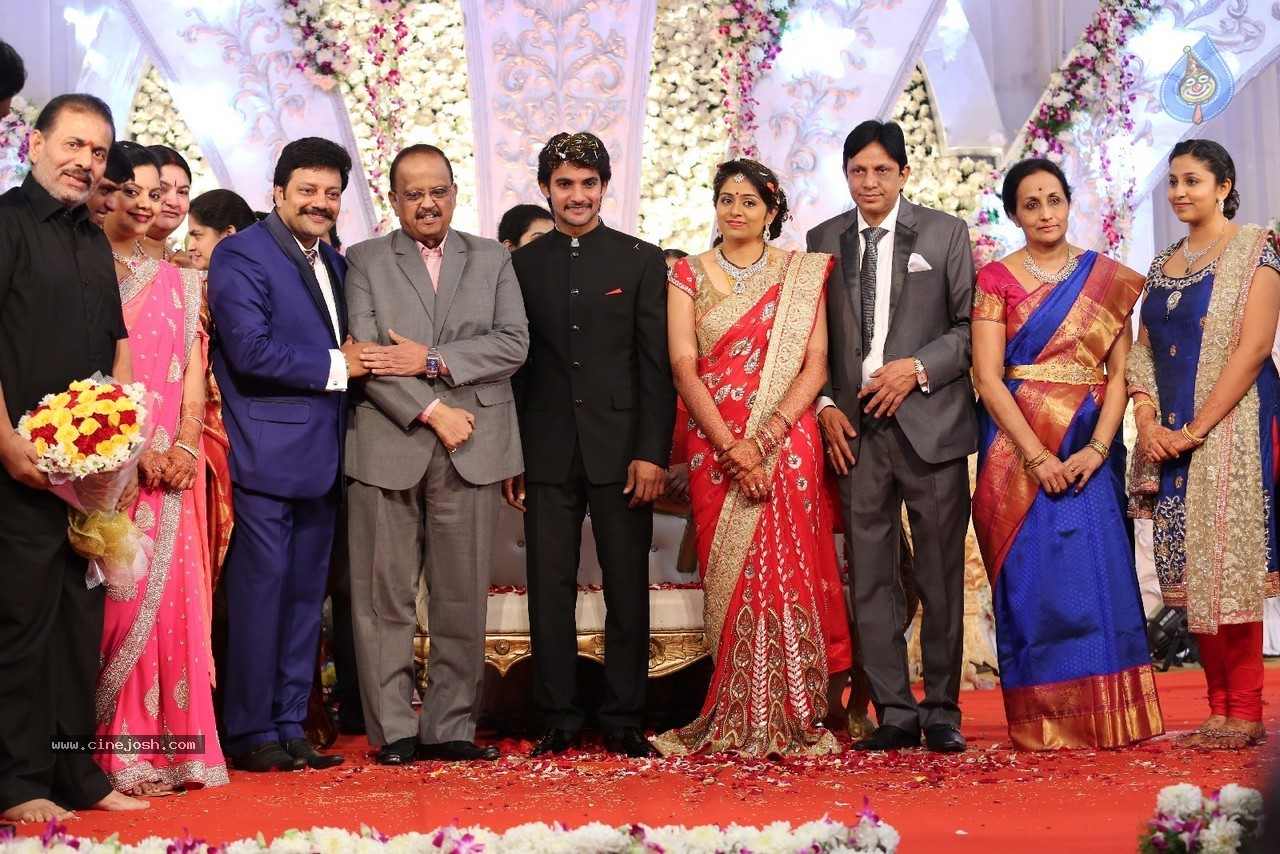 Aadi and Aruna Wedding Reception 03 - 135 / 235 photos