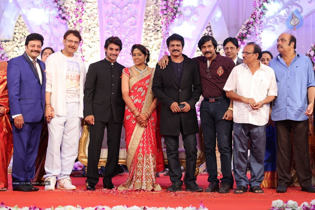 Aadi and Aruna Wedding Reception 03 - 136 / 235 photos