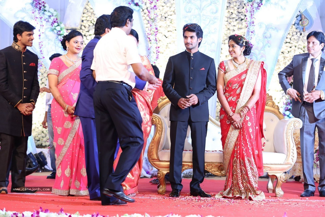 Aadi and Aruna Wedding Reception 03 - 138 / 235 photos