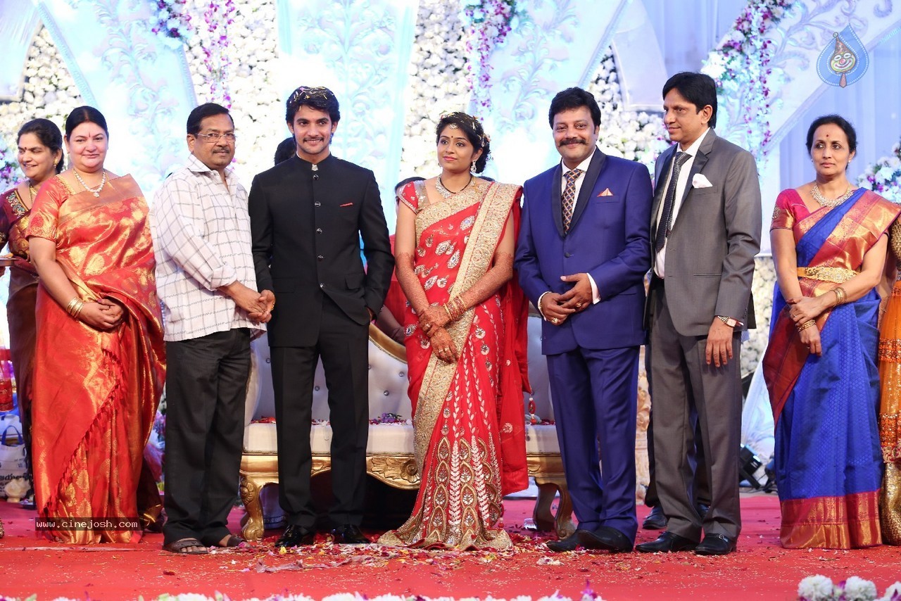 Aadi and Aruna Wedding Reception 03 - 141 / 235 photos
