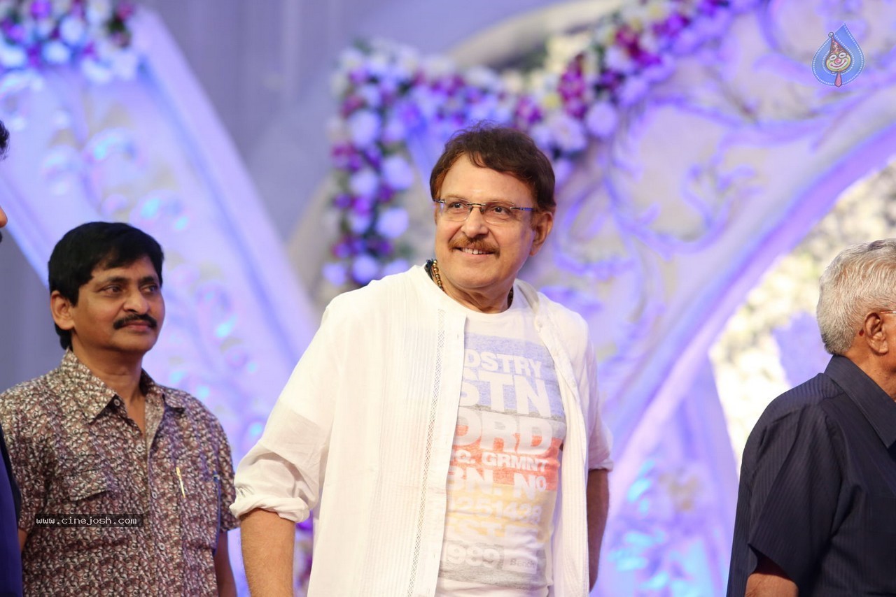 Aadi and Aruna Wedding Reception 03 - 148 / 235 photos