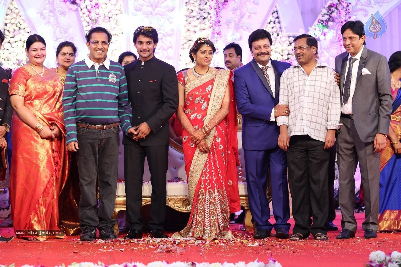 Aadi and Aruna Wedding Reception 03 - 149 / 235 photos