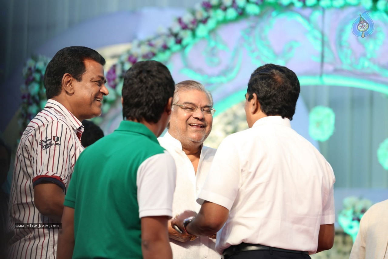 Aadi and Aruna Wedding Reception 03 - 151 / 235 photos