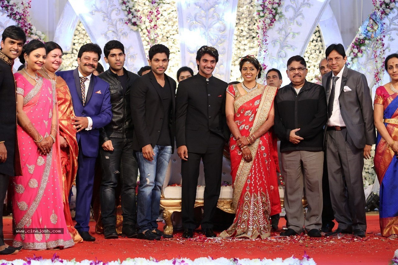 Aadi and Aruna Wedding Reception 03 - 152 / 235 photos