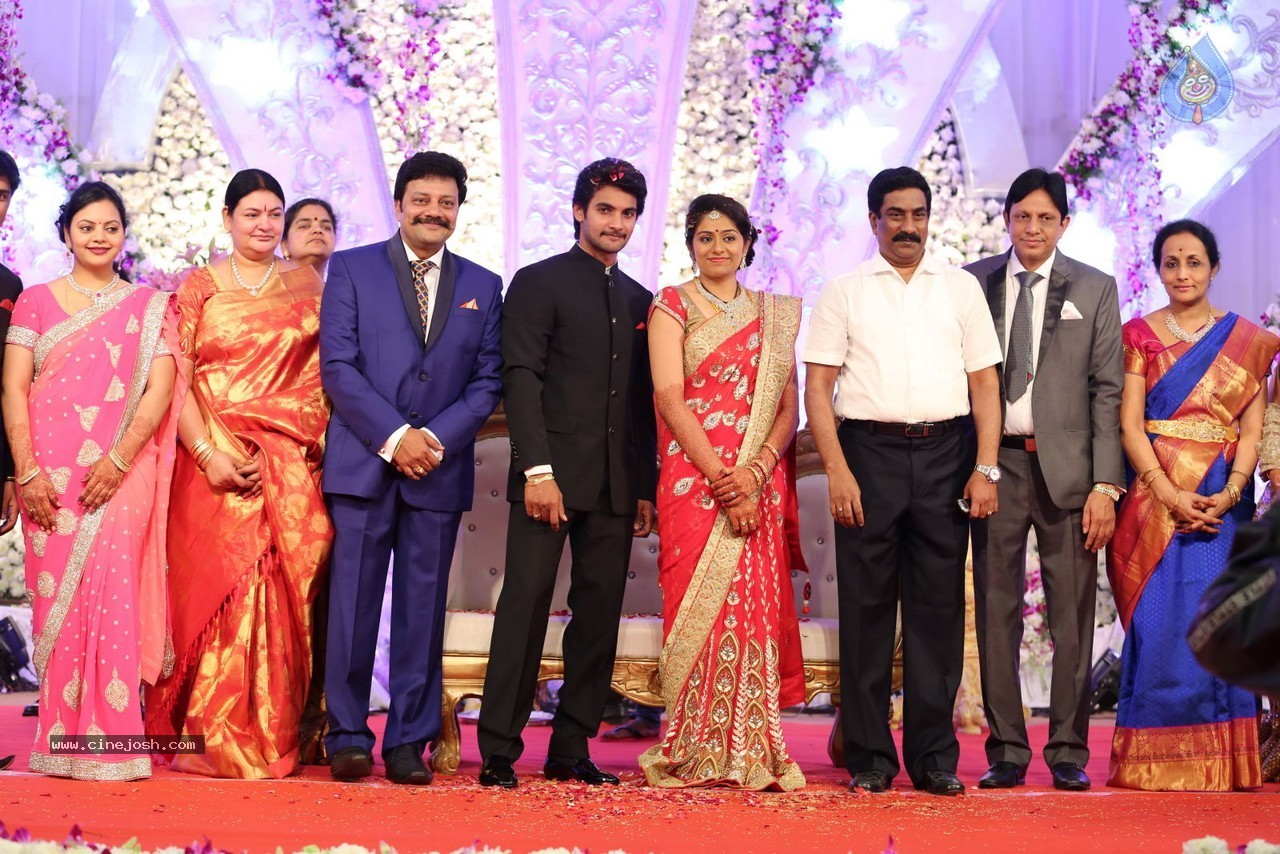 Aadi and Aruna Wedding Reception 03 - 159 / 235 photos