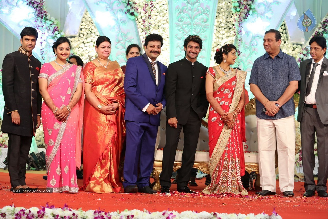 Aadi and Aruna Wedding Reception 03 - 162 / 235 photos