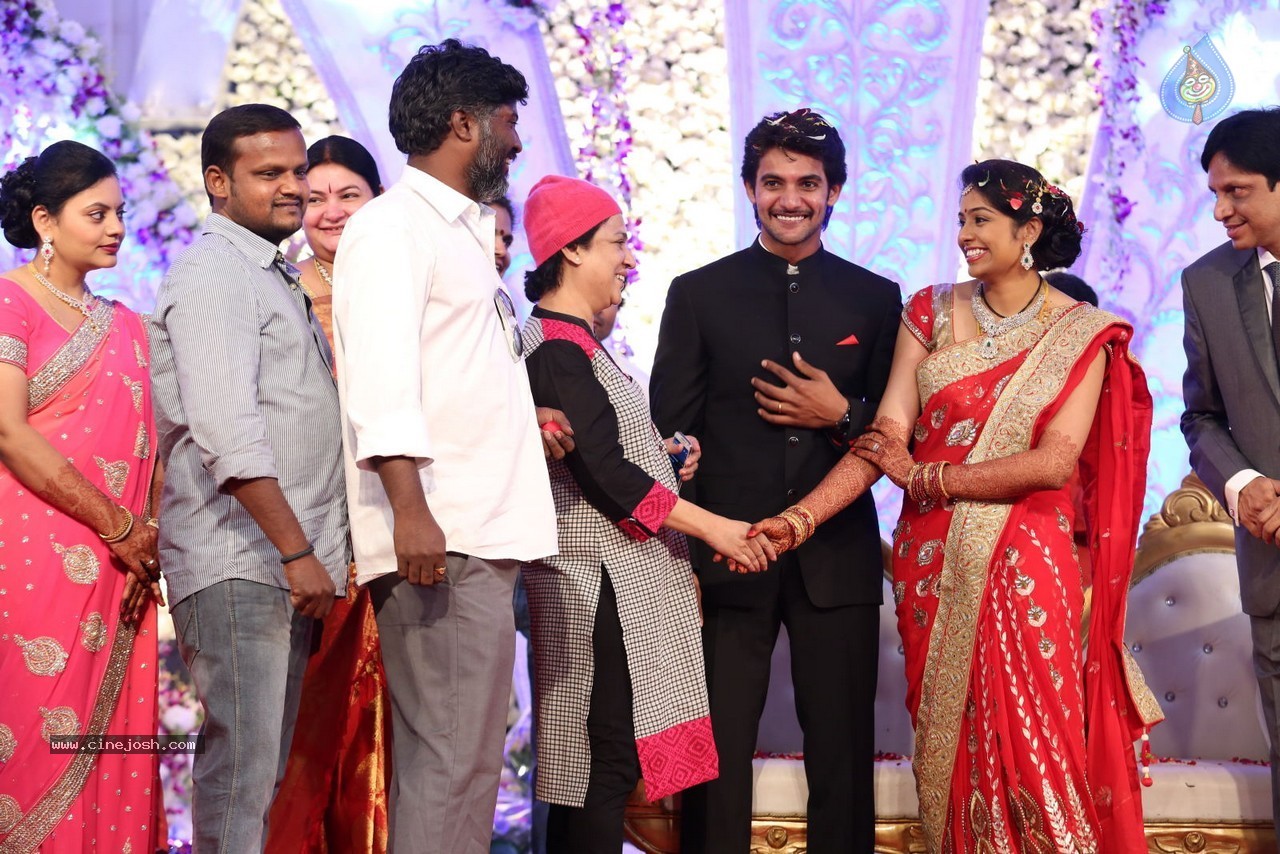 Aadi and Aruna Wedding Reception 03 - 163 / 235 photos
