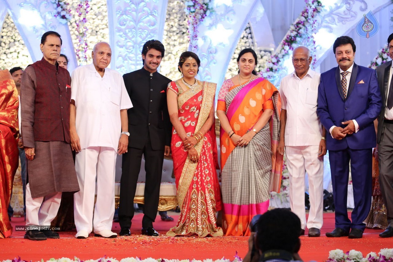 Aadi and Aruna Wedding Reception 03 - 164 / 235 photos