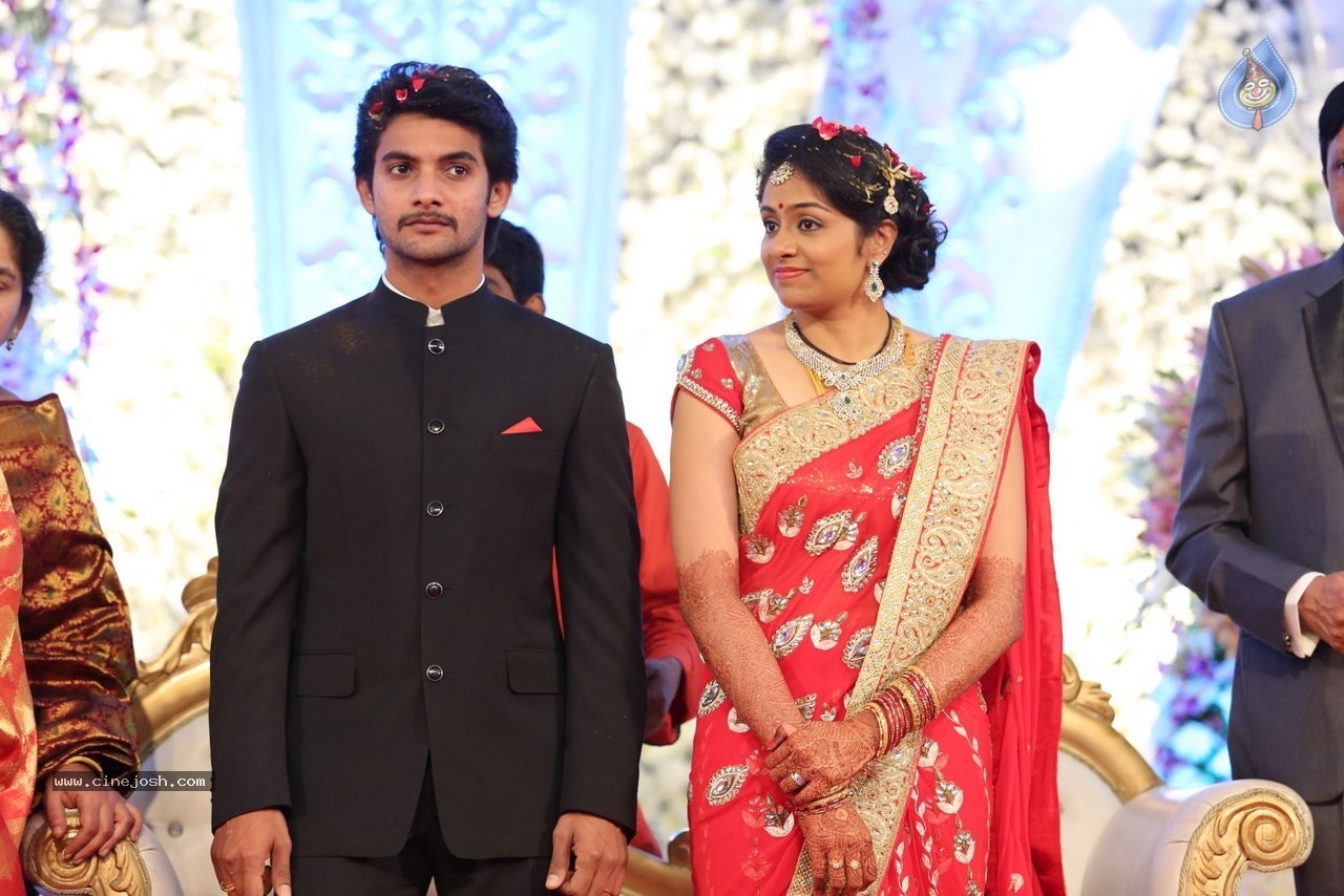 Aadi and Aruna Wedding Reception 03 - 166 / 235 photos