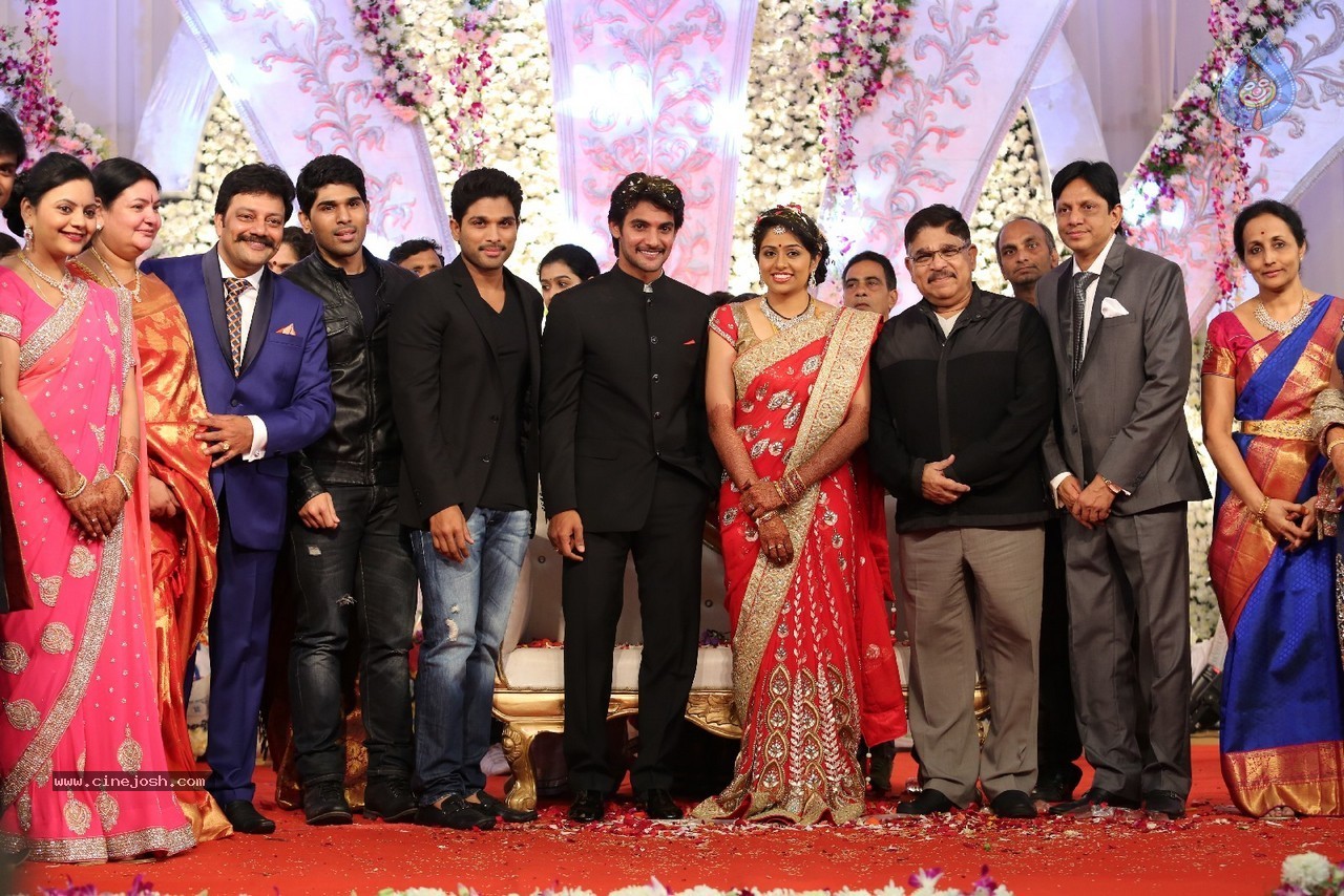 Aadi and Aruna Wedding Reception 03 - 167 / 235 photos