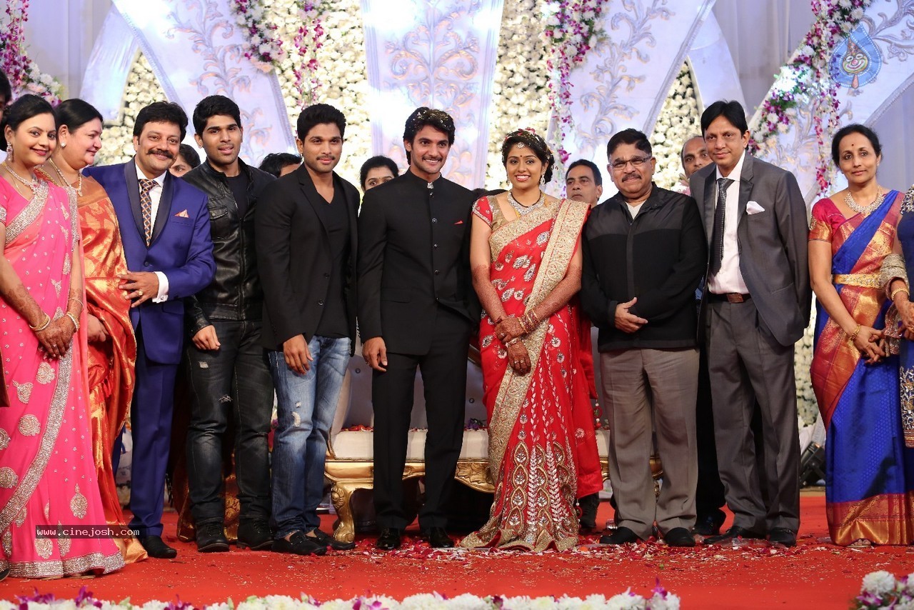 Aadi and Aruna Wedding Reception 03 - 169 / 235 photos