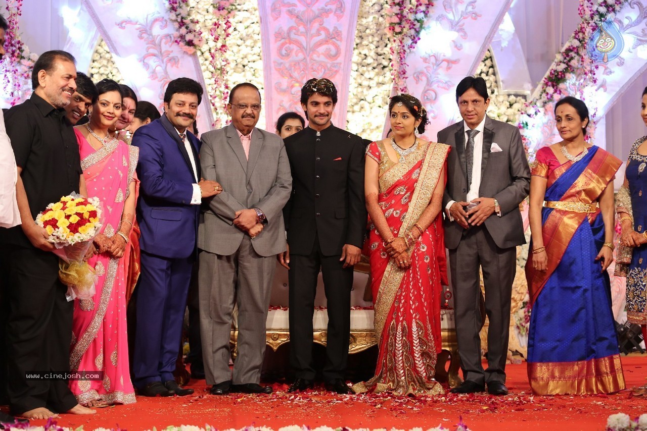 Aadi and Aruna Wedding Reception 03 - 173 / 235 photos