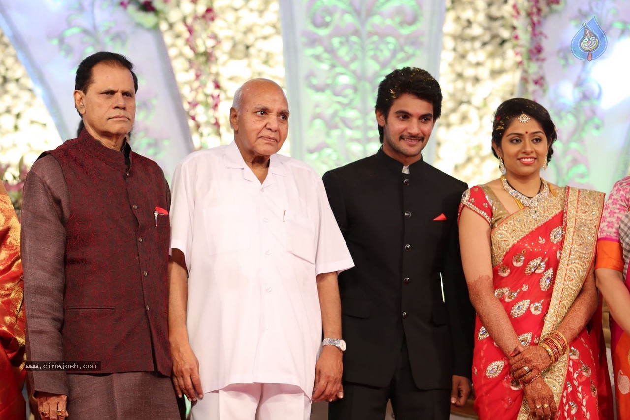 Aadi and Aruna Wedding Reception 03 - 174 / 235 photos
