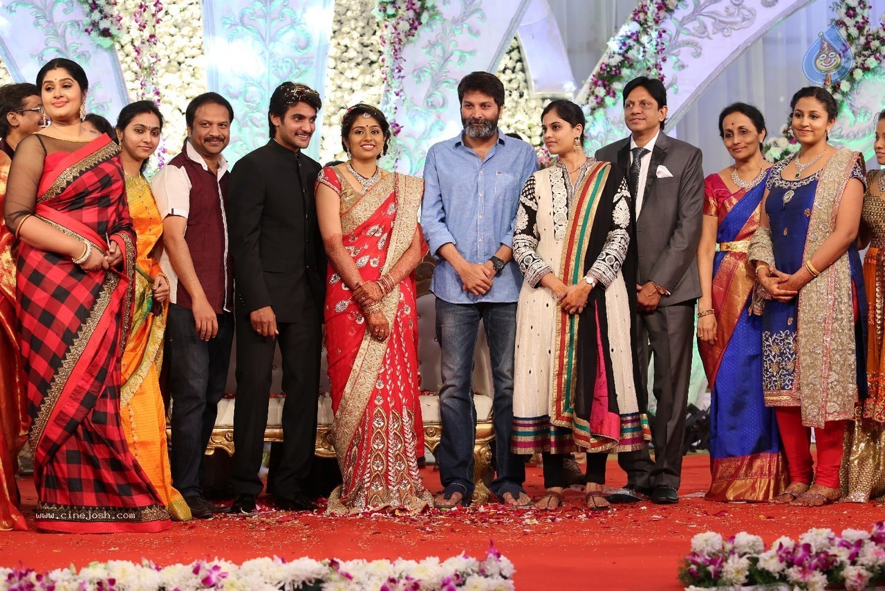 Aadi and Aruna Wedding Reception 03 - 178 / 235 photos