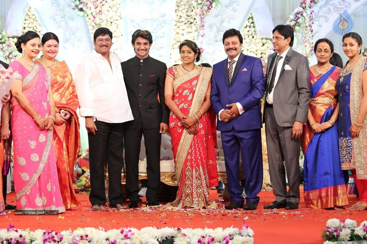 Aadi and Aruna Wedding Reception 03 - 179 / 235 photos