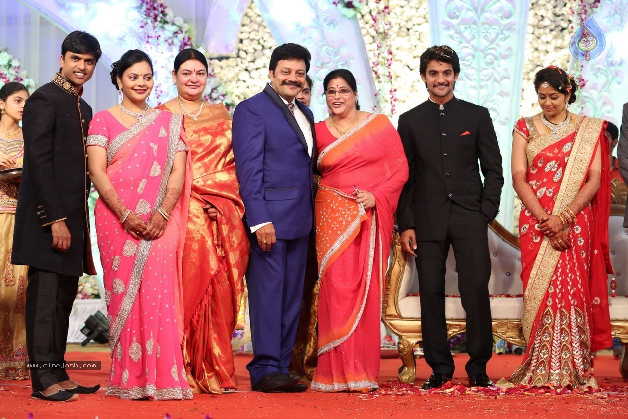 Aadi and Aruna Wedding Reception 03 - 180 / 235 photos