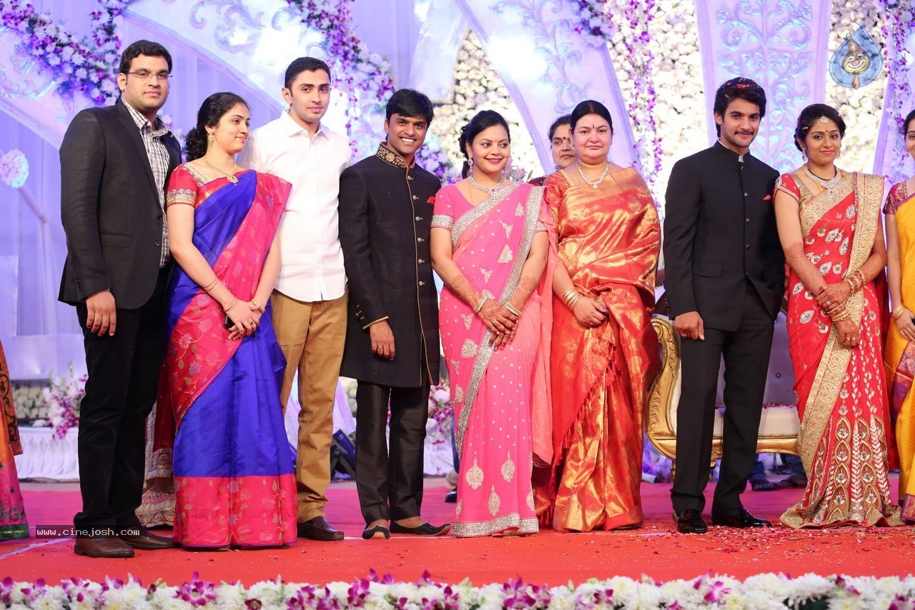 Aadi and Aruna Wedding Reception 03 - 184 / 235 photos