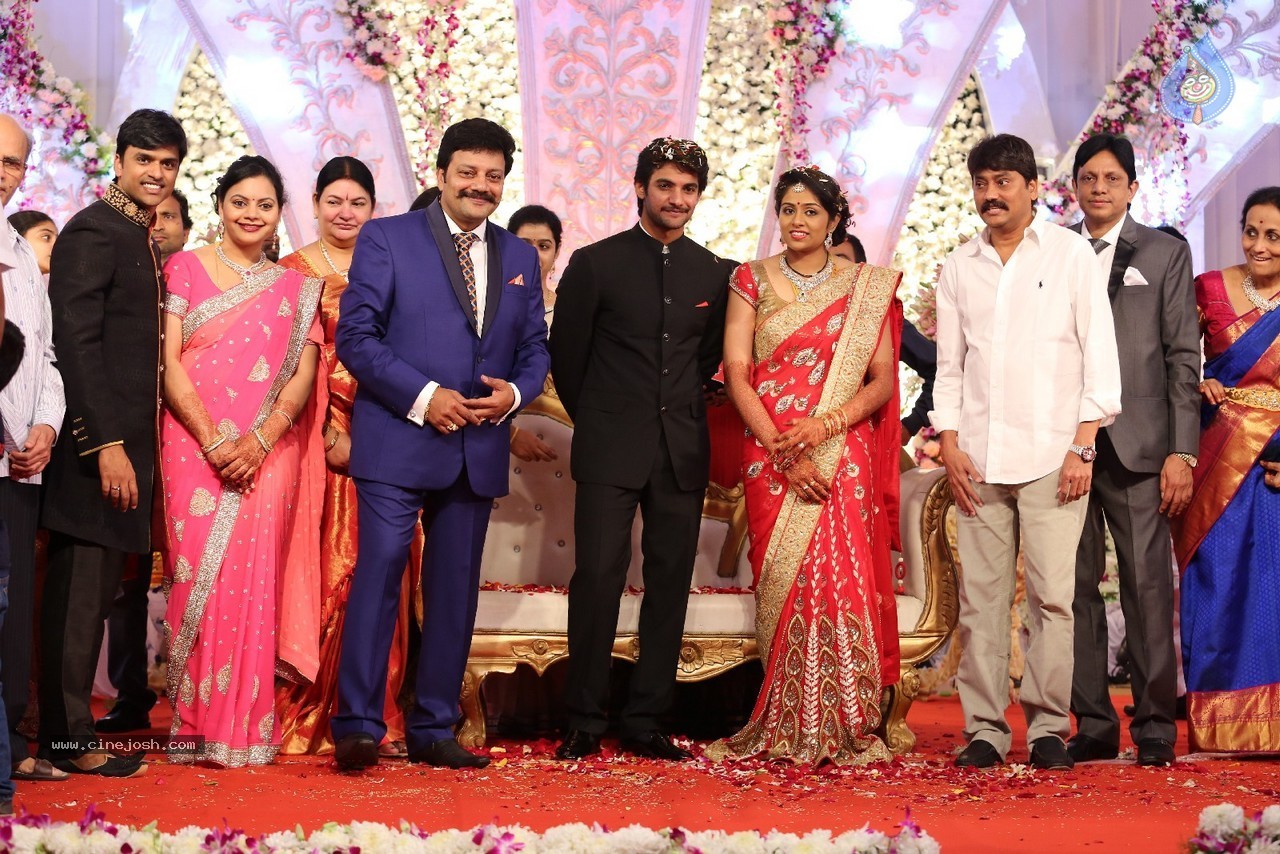 Aadi and Aruna Wedding Reception 03 - 186 / 235 photos