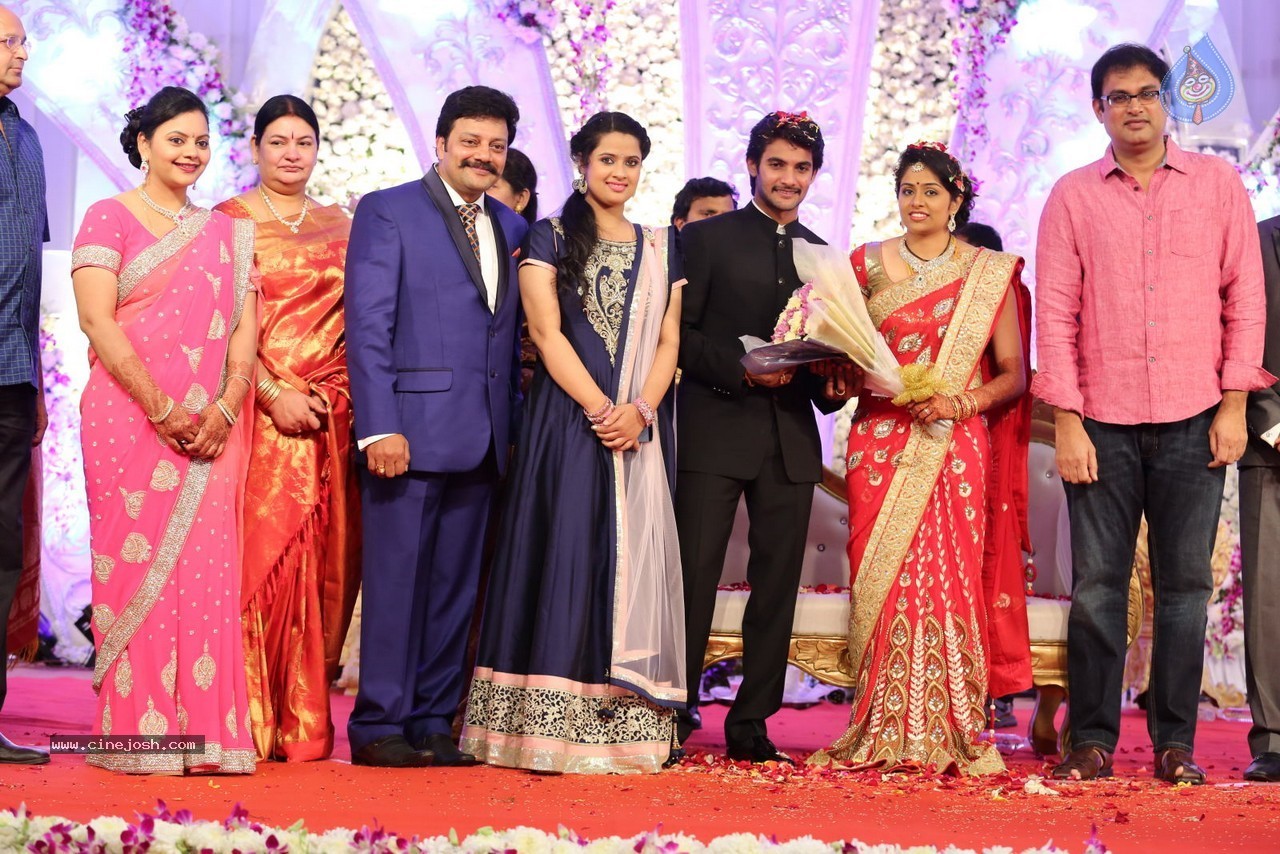 Aadi and Aruna Wedding Reception 03 - 213 / 235 photos