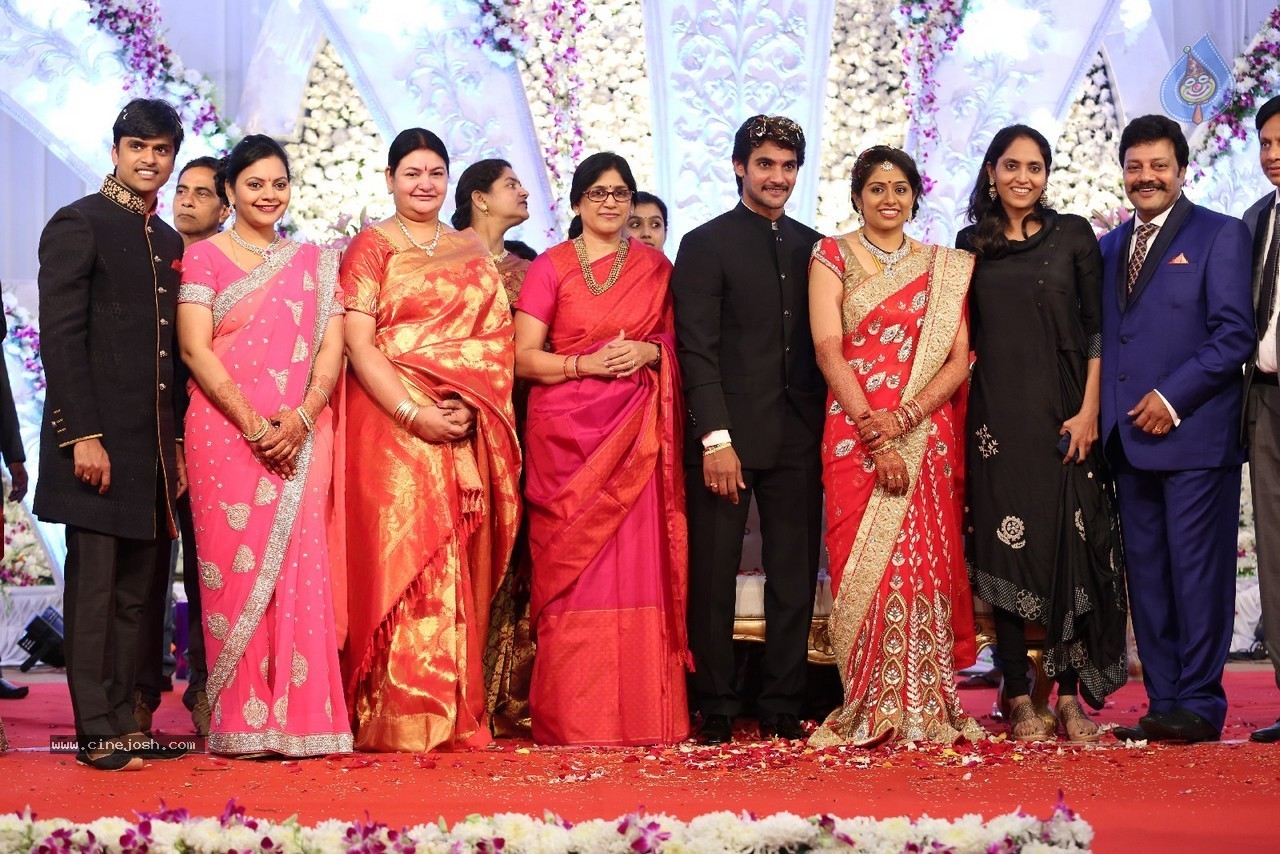 Aadi and Aruna Wedding Reception 03 - 216 / 235 photos