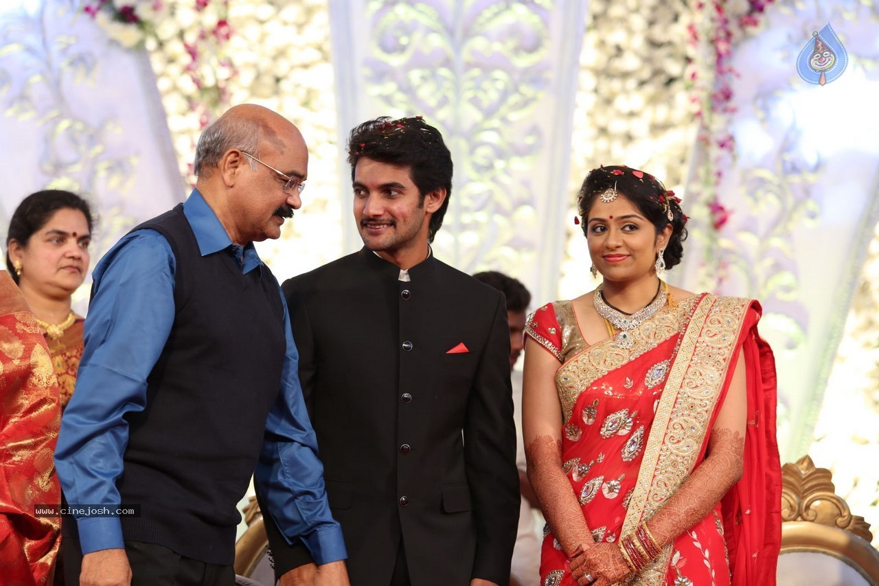 Aadi and Aruna Wedding Reception 03 - 218 / 235 photos