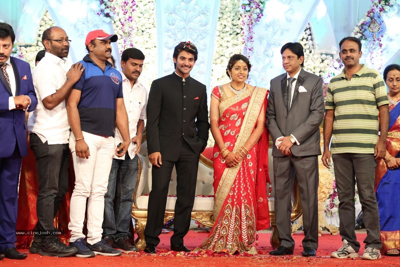 Aadi and Aruna Wedding Reception 03 - 219 / 235 photos