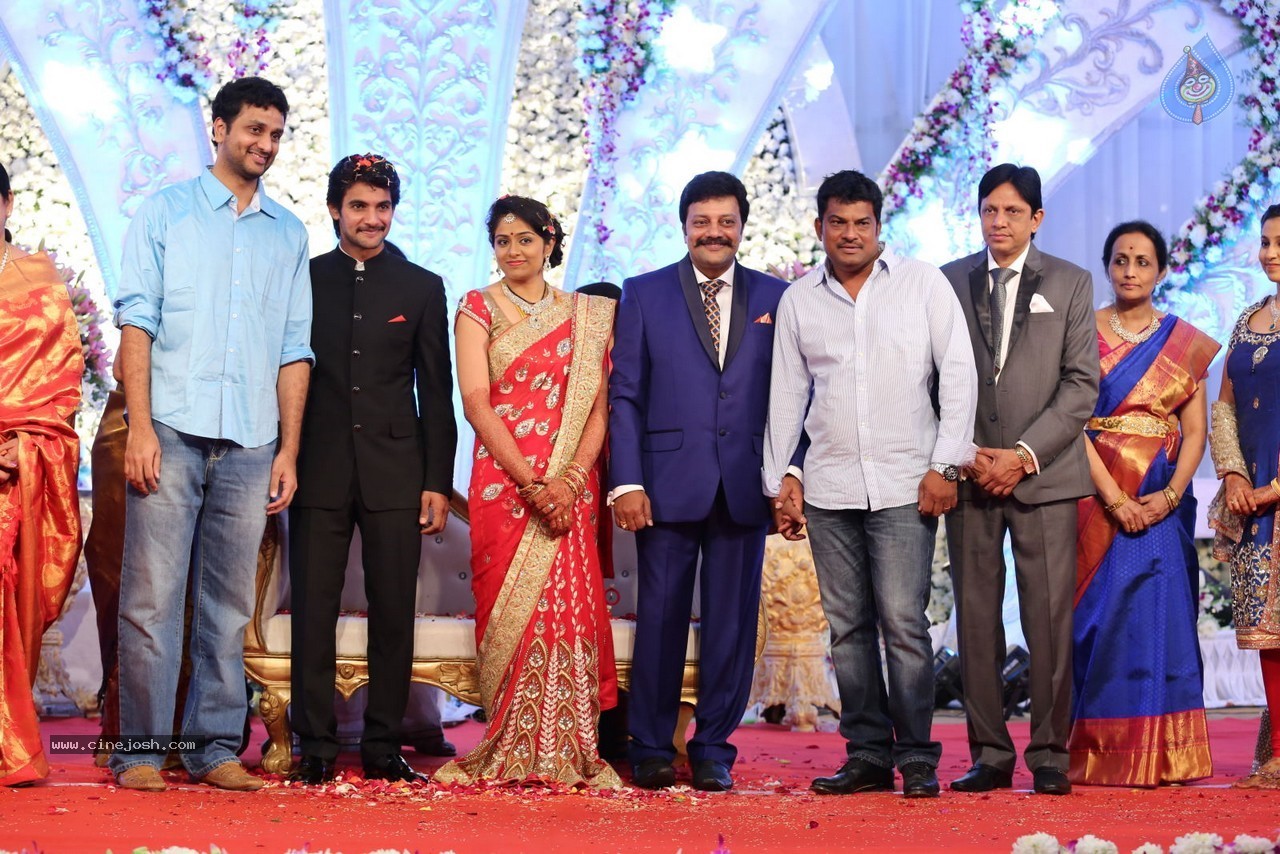 Aadi and Aruna Wedding Reception 03 - 224 / 235 photos