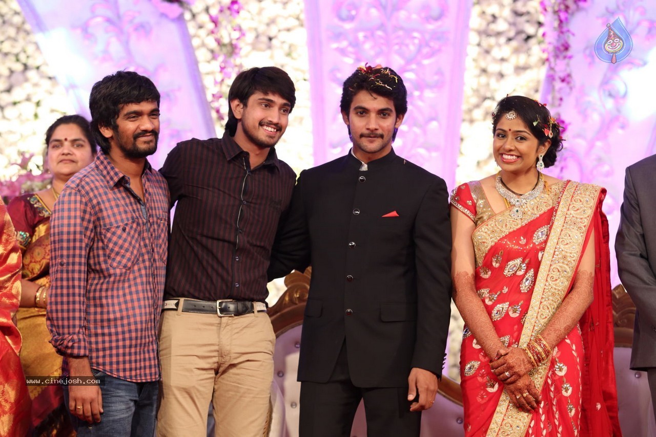Aadi and Aruna Wedding Reception 03 - 225 / 235 photos