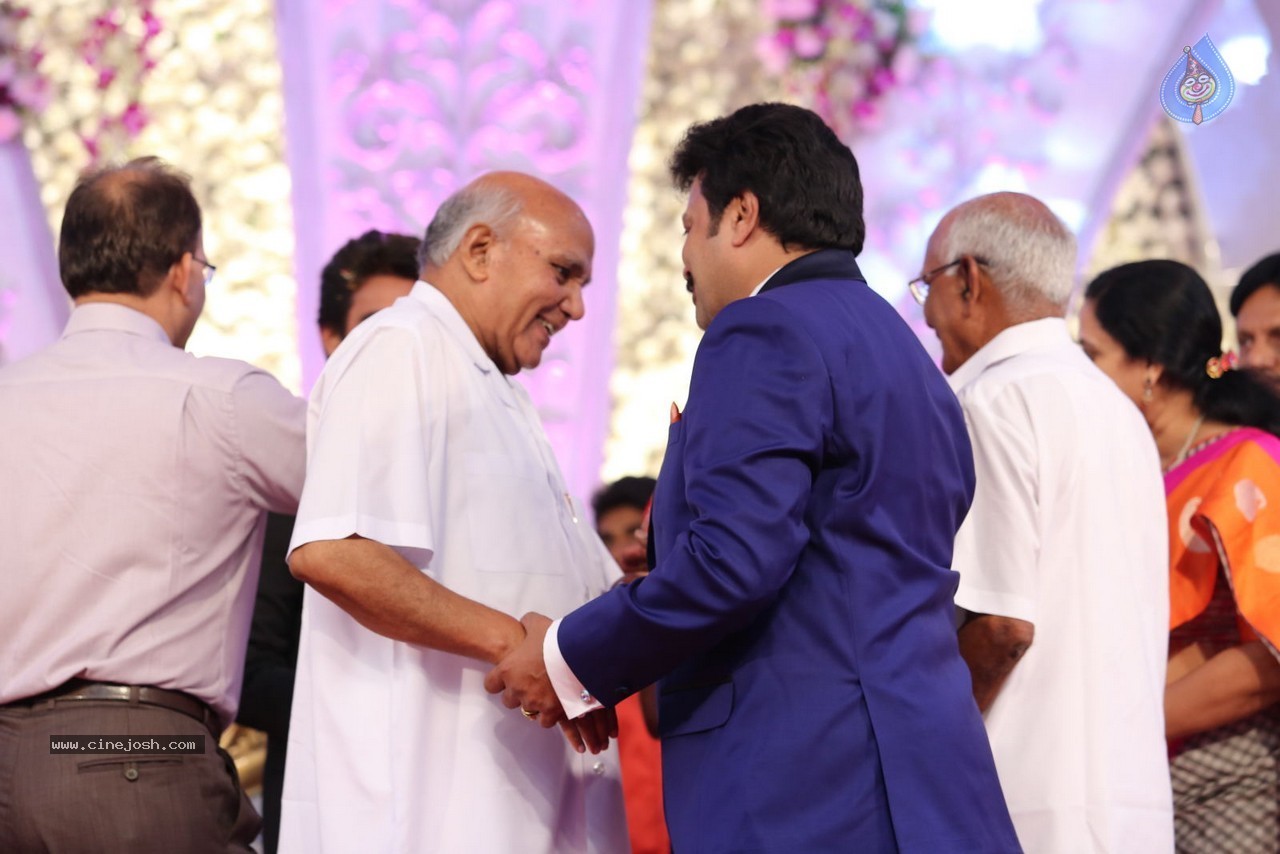 Aadi and Aruna Wedding Reception 03 - 226 / 235 photos