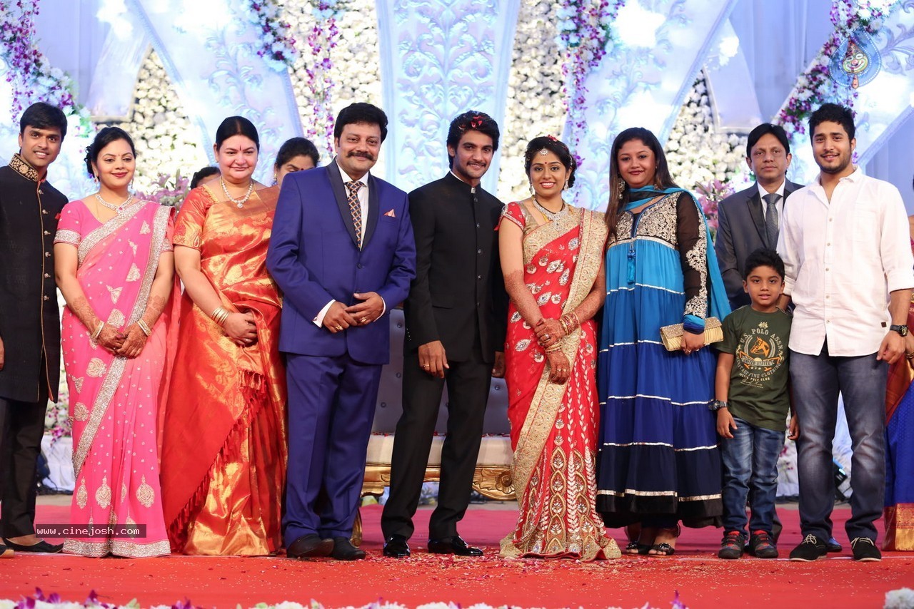 Aadi and Aruna Wedding Reception 03 - 227 / 235 photos