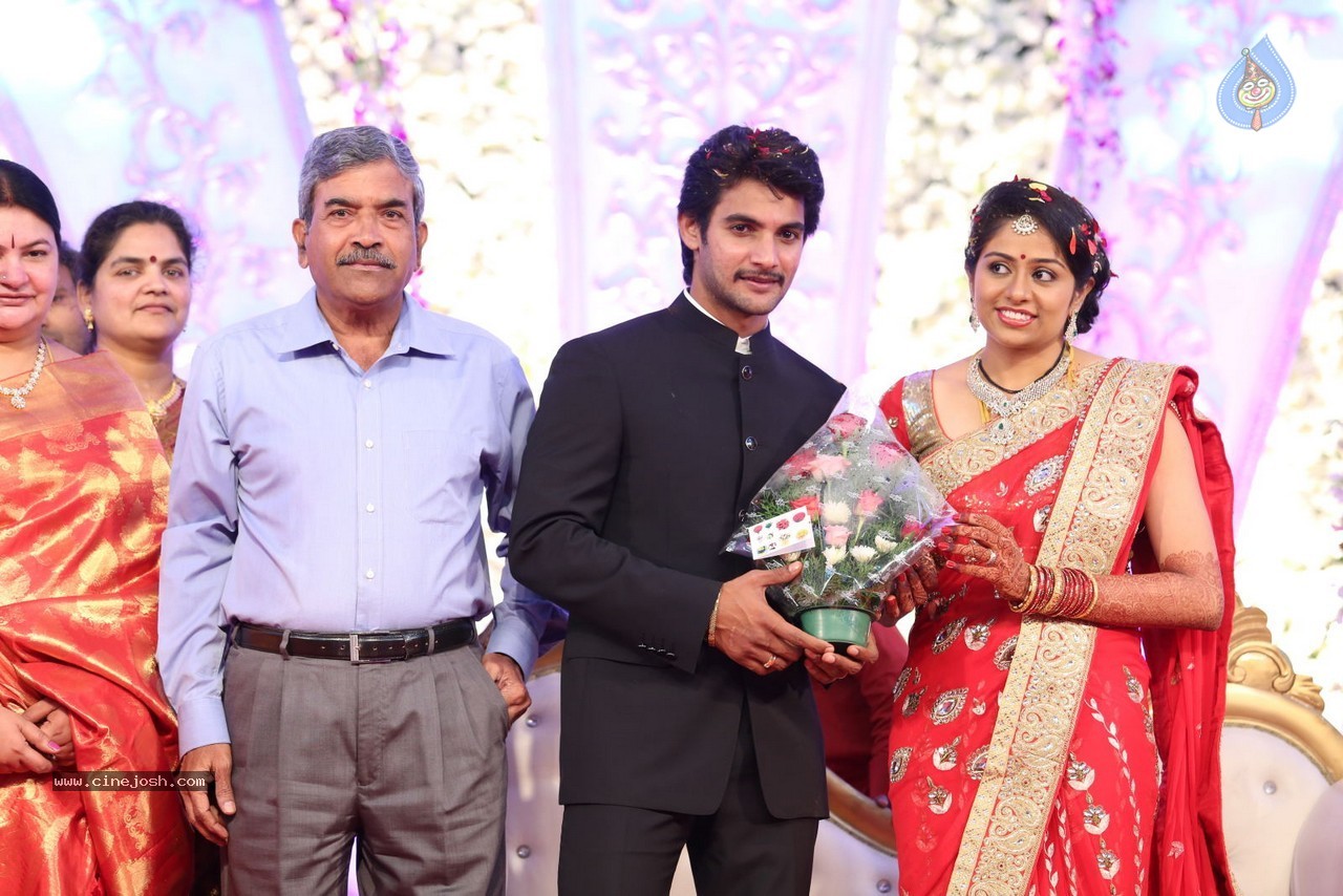 Aadi and Aruna Wedding Reception 03 - 228 / 235 photos