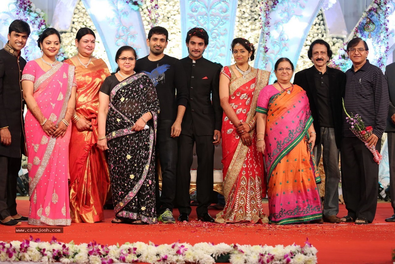 Aadi and Aruna Wedding Reception 03 - 230 / 235 photos