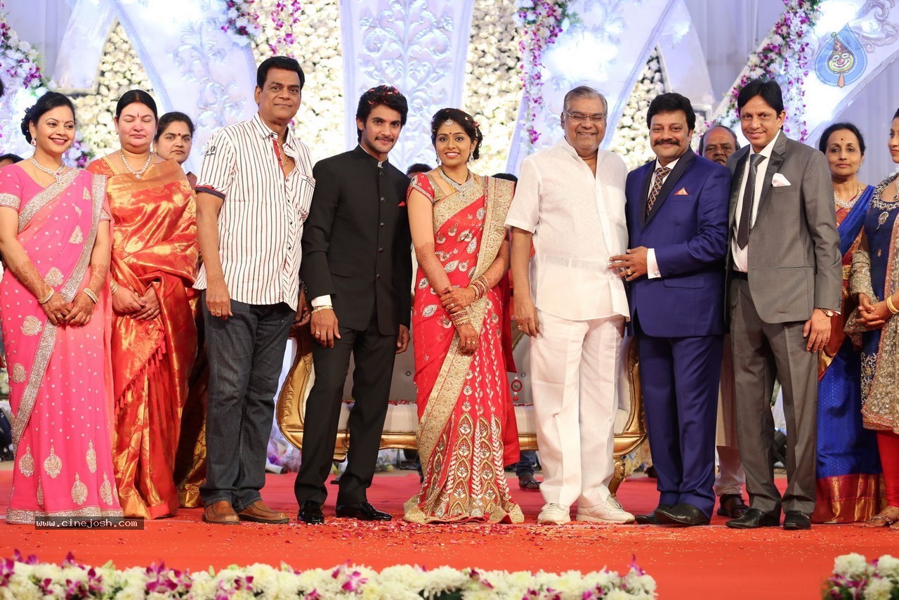 Aadi and Aruna Wedding Reception 03 - 232 / 235 photos