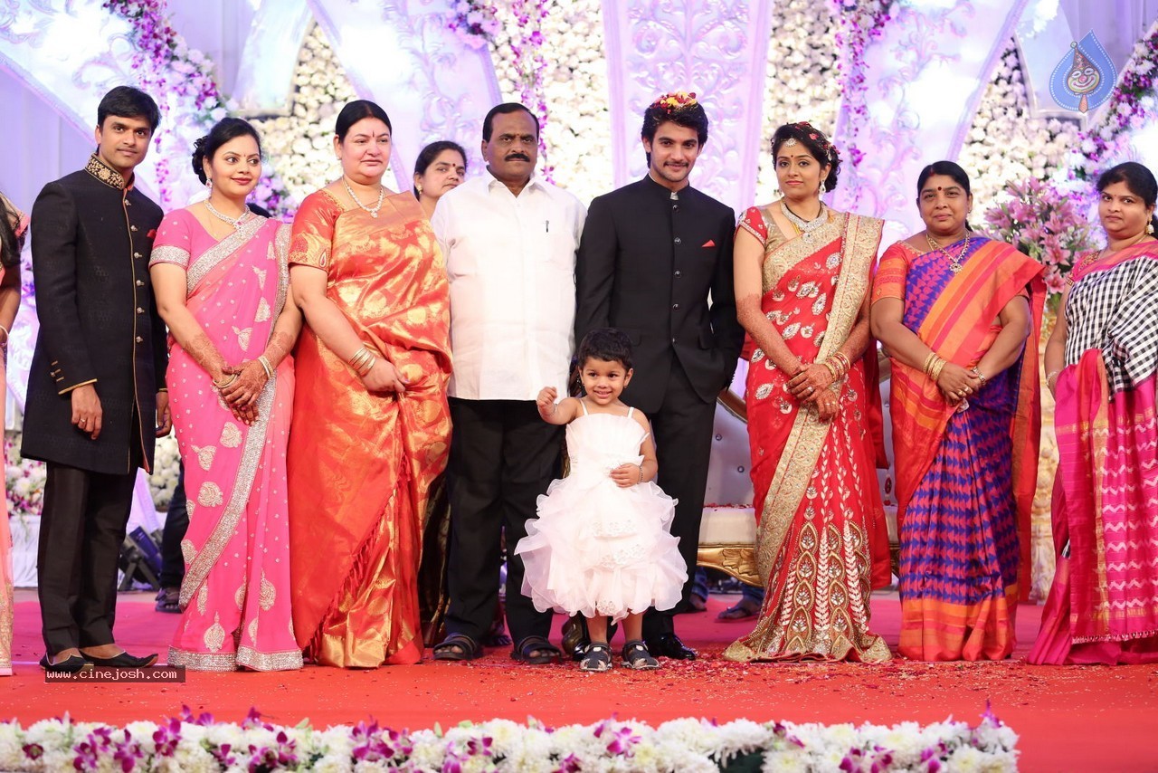 Aadi and Aruna Wedding Reception 03 - 233 / 235 photos