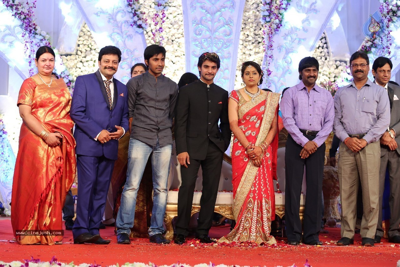 Aadi and Aruna Wedding Reception 04 - 9 / 49 photos