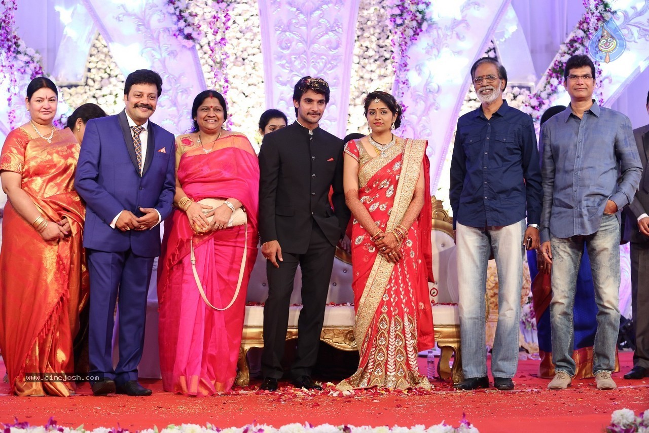 Aadi and Aruna Wedding Reception 04 - 10 / 49 photos