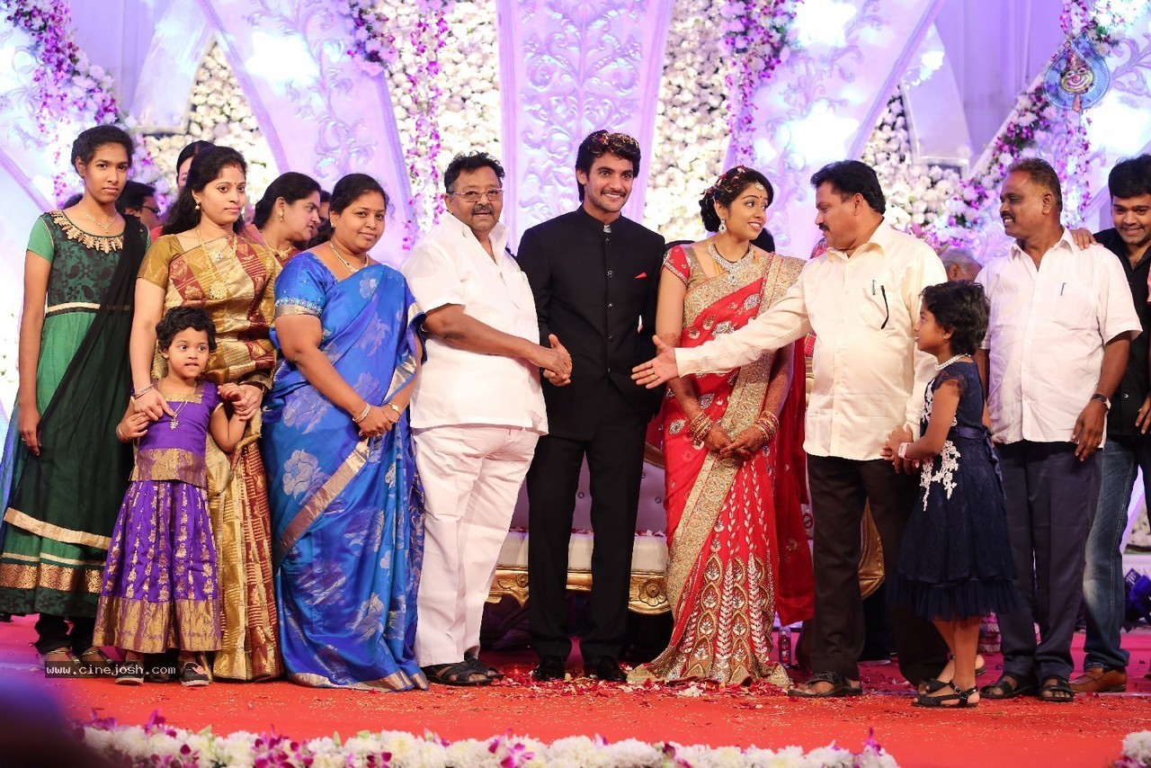 Aadi and Aruna Wedding Reception 04 - 13 / 49 photos