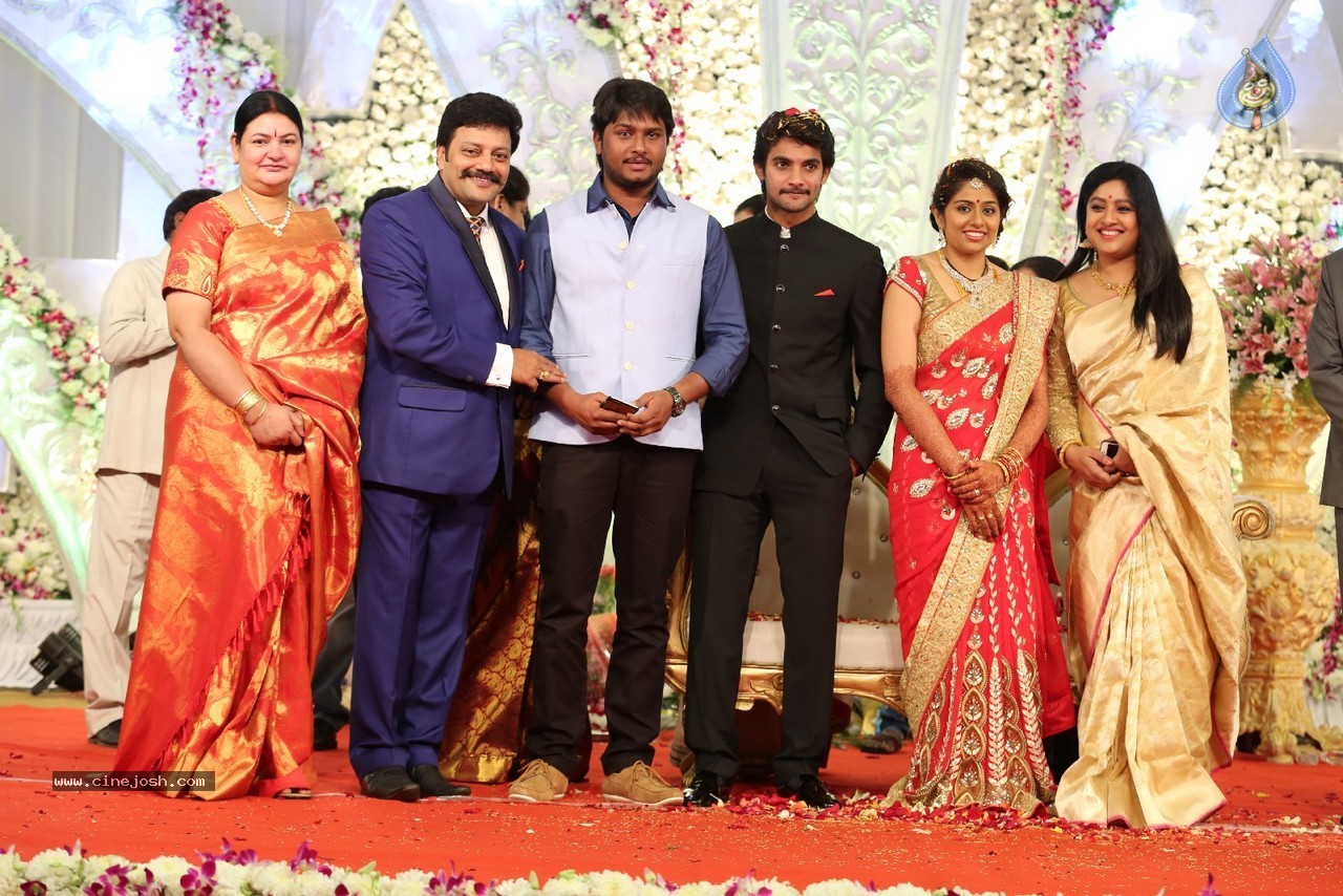 Aadi and Aruna Wedding Reception 04 - 16 / 49 photos