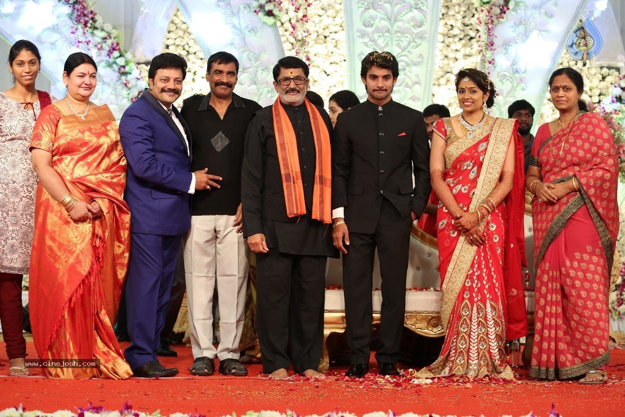 Aadi and Aruna Wedding Reception 04 - 23 / 49 photos