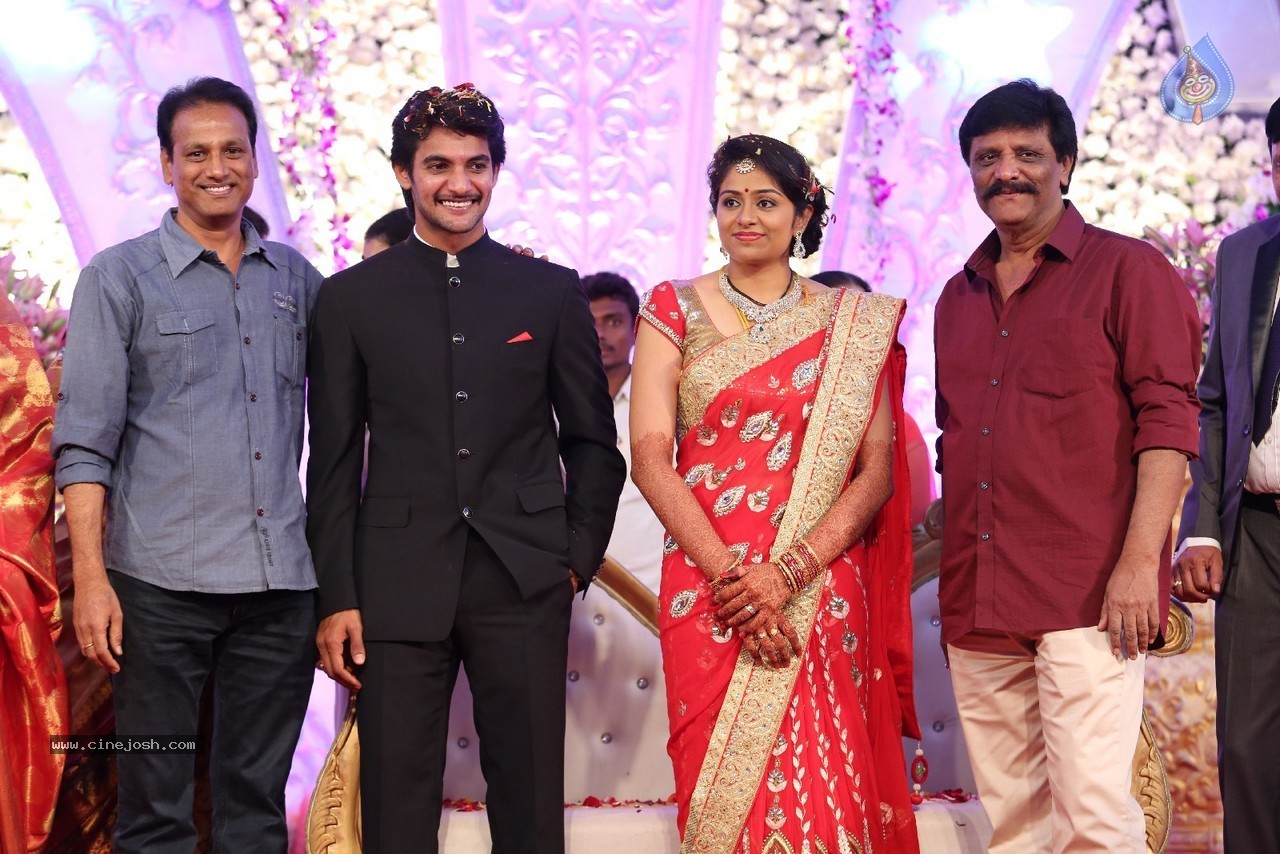Aadi and Aruna Wedding Reception 04 - 28 / 49 photos