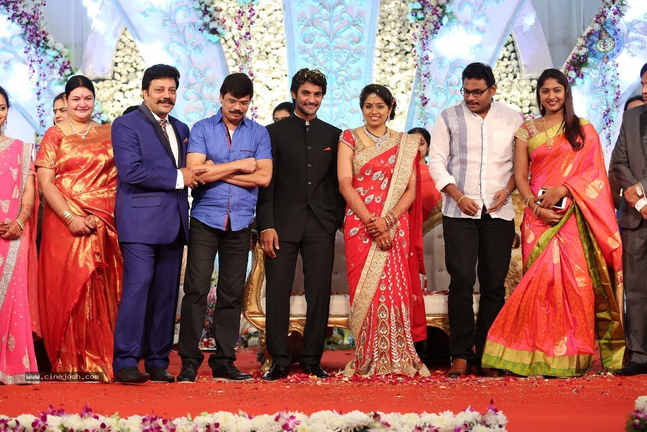 Aadi and Aruna Wedding Reception 04 - 31 / 49 photos
