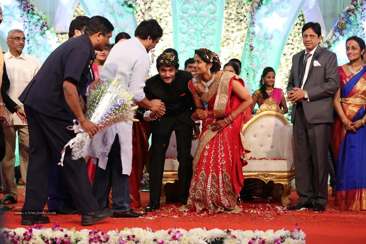 Aadi and Aruna Wedding Reception 04 - 36 / 49 photos